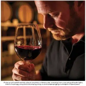 Provas de Vinhos